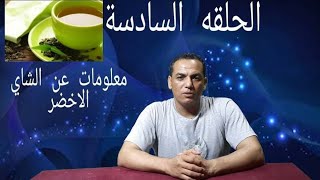 شاهد الان معلومات عن الشاي الاخضر لم تعرفها من قبل