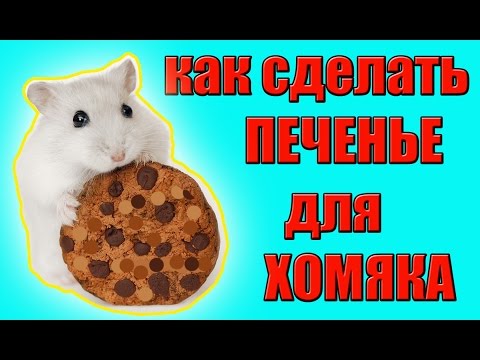 Как сделать вкусняшку для хомяка в домашних условиях