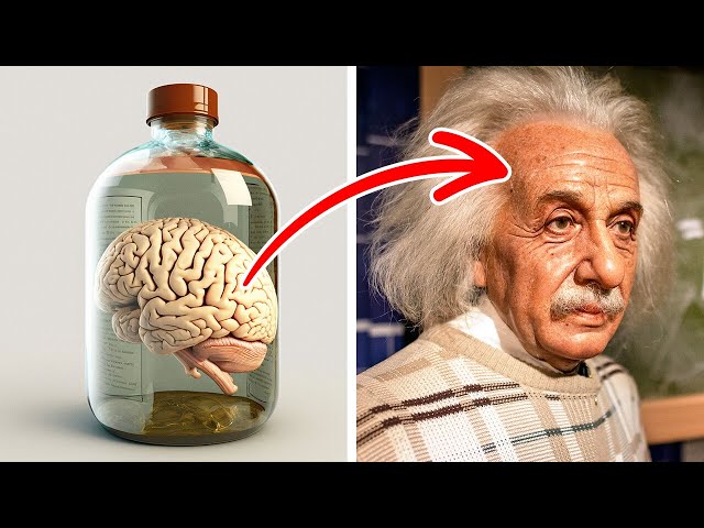 Penemuan Besar Einstein + Fakta Sejarah Lain yang Mungkin Tidak Anda Ketahui class=