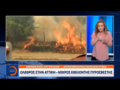 Αντιπεριφερειάρχης Ανατολικής Αττικής: