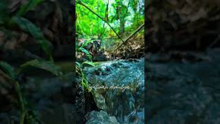 Download Lagu Sinematik video air sungai #sinematicvideo #cinematic #sinematik #alam MP3