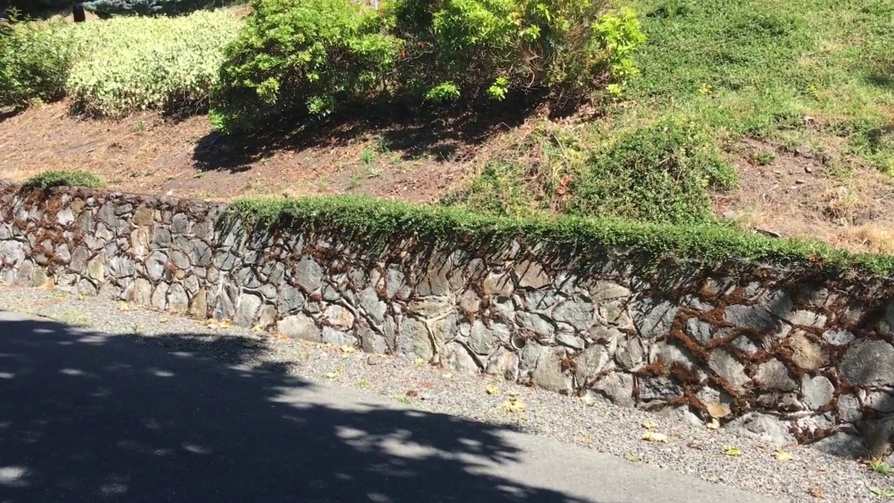 Ocean View Luxury Home For Sale In Victoria BC YouTube