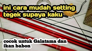 tegek setting, how to set the tegek rod rod, tegek for Galatama catfish