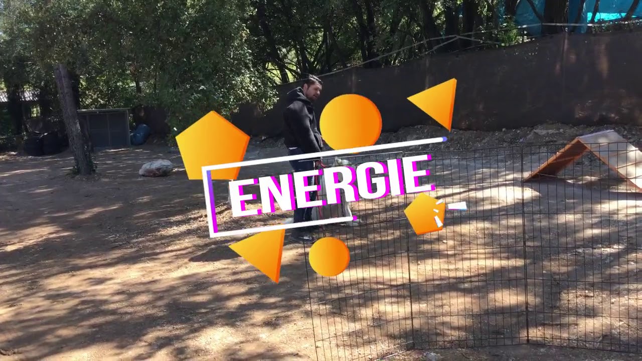 CHIEN SAMOYEDE BLANC AGRESSIF/ERIC TRAMSON/DRESSEUR CHIEN - YouTube