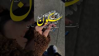 New Ghazal Status Hearttouching Emotional Nasheed Whatsapp Status Hai Zindagi Kitni Khubsurat Sad 