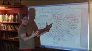 Tao of Astrology Video Course Class 1
