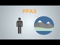 Explained: What are PFAS compounds and how can they affect human health?