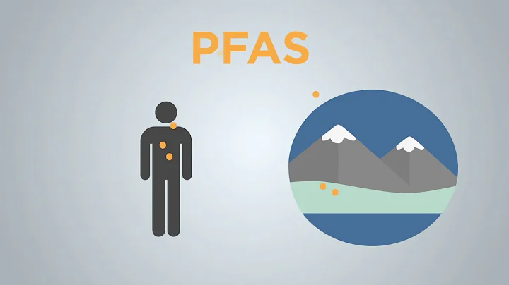 What are PFAS compounds and how can they affect human health? | AKPM News