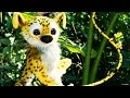 BD HÉROS VOL. 1 video