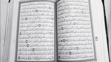 سورة الكهف🌻 الربع الثالث ( 🌸واضرب لهم مثلا رجلين🌸 ) Surat Al kahf