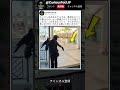 ホテルのハト対策が意外すぎた 🦅