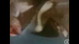 Ph.D - Little Susie's On The Up