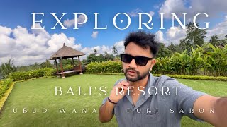 Beauty of Bali Resorts || Ubud Wana || Puri Saron || Ubud,Bali,Indonesia #explore #beauty #nature