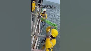 Extreme Offshore Scaffolding Installation