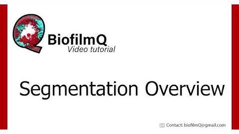 BiofilmQ Tutorials - 2.2 Segmentation Overview