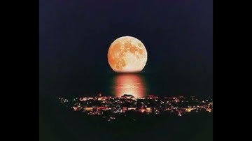 سورة الشعراء / القارئ : عبدالله الموسى