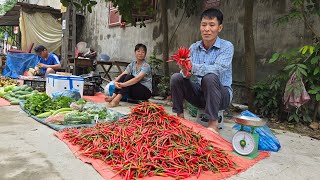 Harvest chillis Goes to the market sell  Gardening  Take Care Of The Pet | Solo Survival