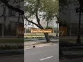 clean cities