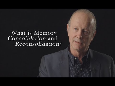 ვიდეო: როდის აღმოაჩინეს მეხსიერების დამუშავების რეკონსოლიდაციის ეტაპი?