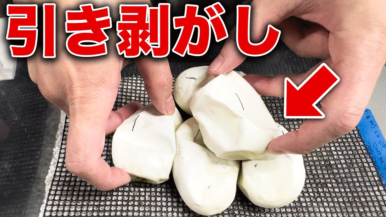 【※閲覧注意】固まったヘビの卵はがし