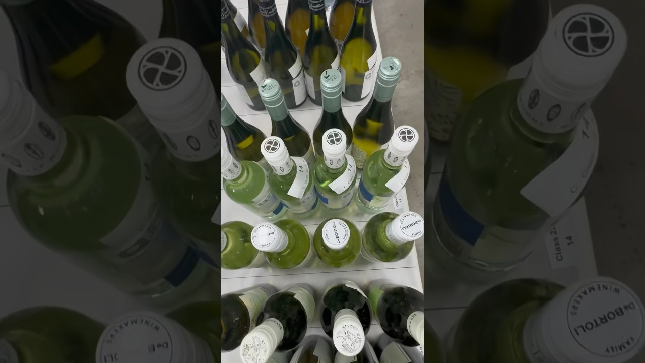 WINE WAITING TO BE JUDGED FOR THE 2024 ROYAL QUEENSLAND WINE AWARDS 🍷🍾🥂 