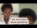 MY BIG CHOP HAIR GROWTH| 7 MONTHS UPDATE|| MY SIMPLE WASH AND GO