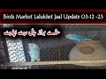 Birds Market Lalukhet Jaal Update 03-12 -23|Lalukhet Birds Market Jal Rate Today|Global Birds Lovers