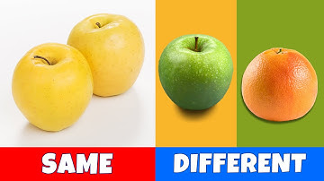 Opposite Words | Dạy Bé Học Tiếng Anh: Khám Phá Các Từ Trái Ngược Thú Vị |