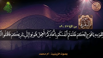 سورة البقرة (من الآية ٤٧-٥٩) بصوت الزينبية : أم محمد - الديوانية