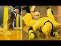 giant glue trap goes wrong..