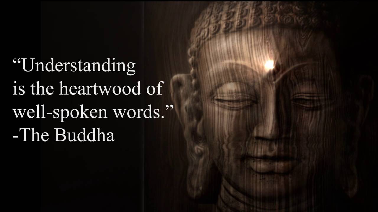 What I Learned About Buddhism