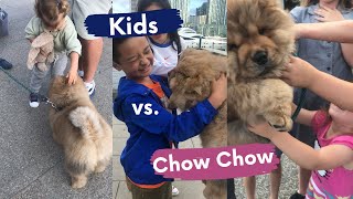 Is Chow Chow friendly with kids?