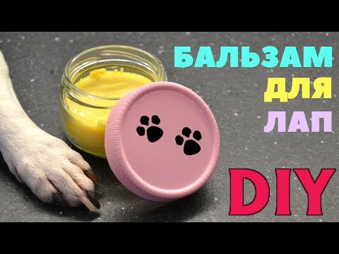 Видео: Каковы побочные эффекты микрочипов собаки?