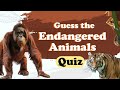 Guess the World’s Most Endangered Animals| Quiz &amp; Facts for Kids and Curious Minds!