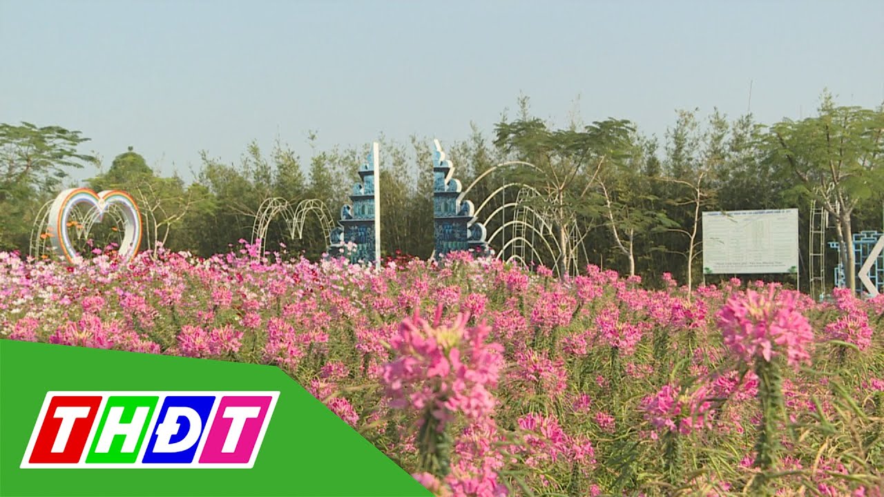 khu du lịch phương nam đồng tháp New Du lịch văn hóa Phương Nam sẵn sàng đón khách | THDT
