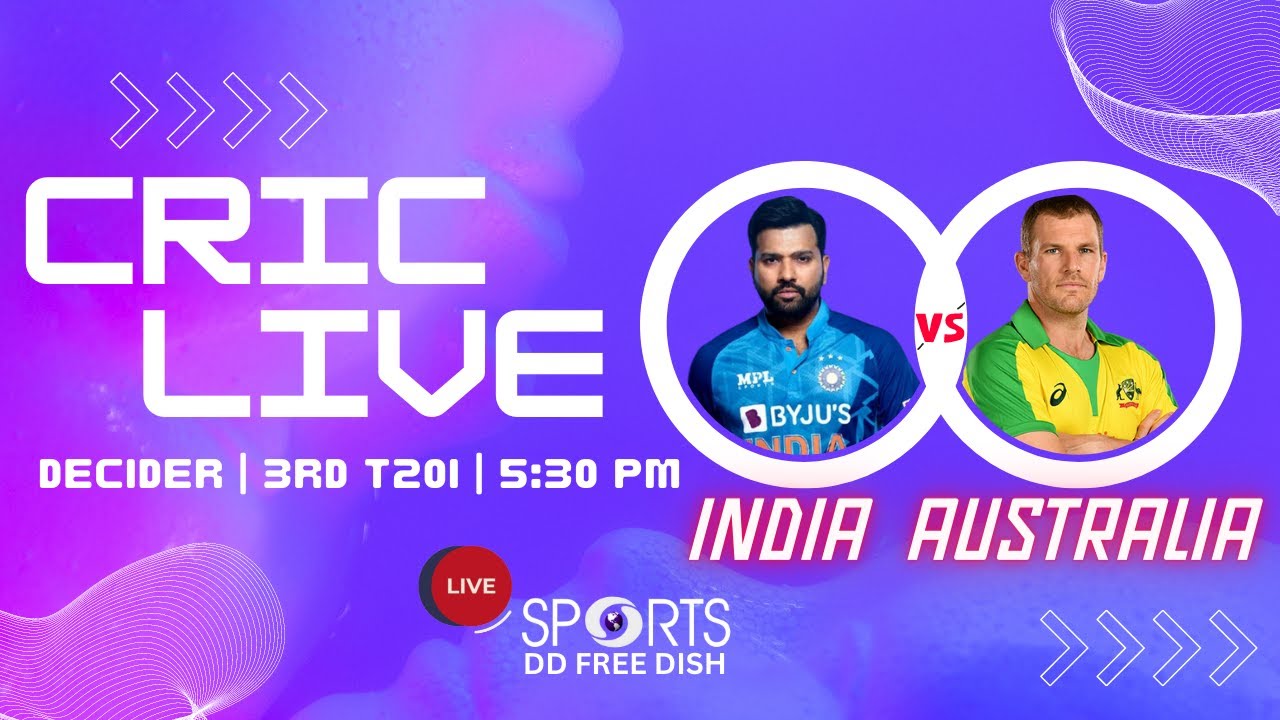 criclive semifinal criclive semifinal