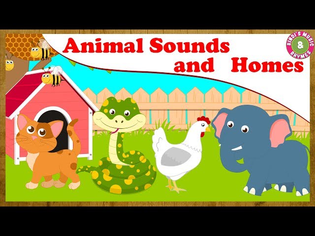 Animals Sounds and Homes Song