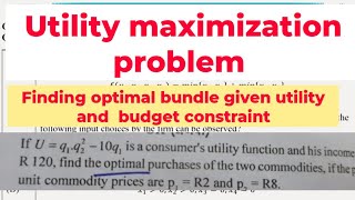utility maximization problem. finding optimal Consumption bundle given utility function and budget
