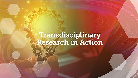 Transdisciplinary Research in Action - Dr. Steven Bryant (Schulich School of Engineering)