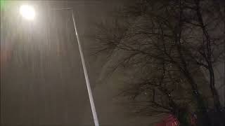 Elurra - Beton Im Nebel