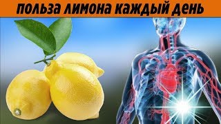 Вот Какая Будет Польза Для Организма Если Есть Лимон Каждый День