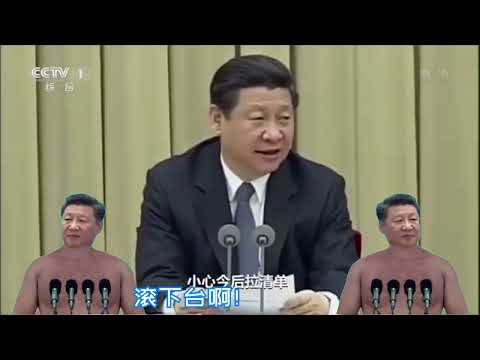 【辱包】摇滚维尼（习大大舞台秀）