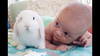 Cute Friendship Babies and Rabbits   Baby and Bunny Rabbit playing together Compilation