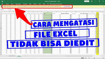 cara mengatasi file excel tidak bisa diedit protected view