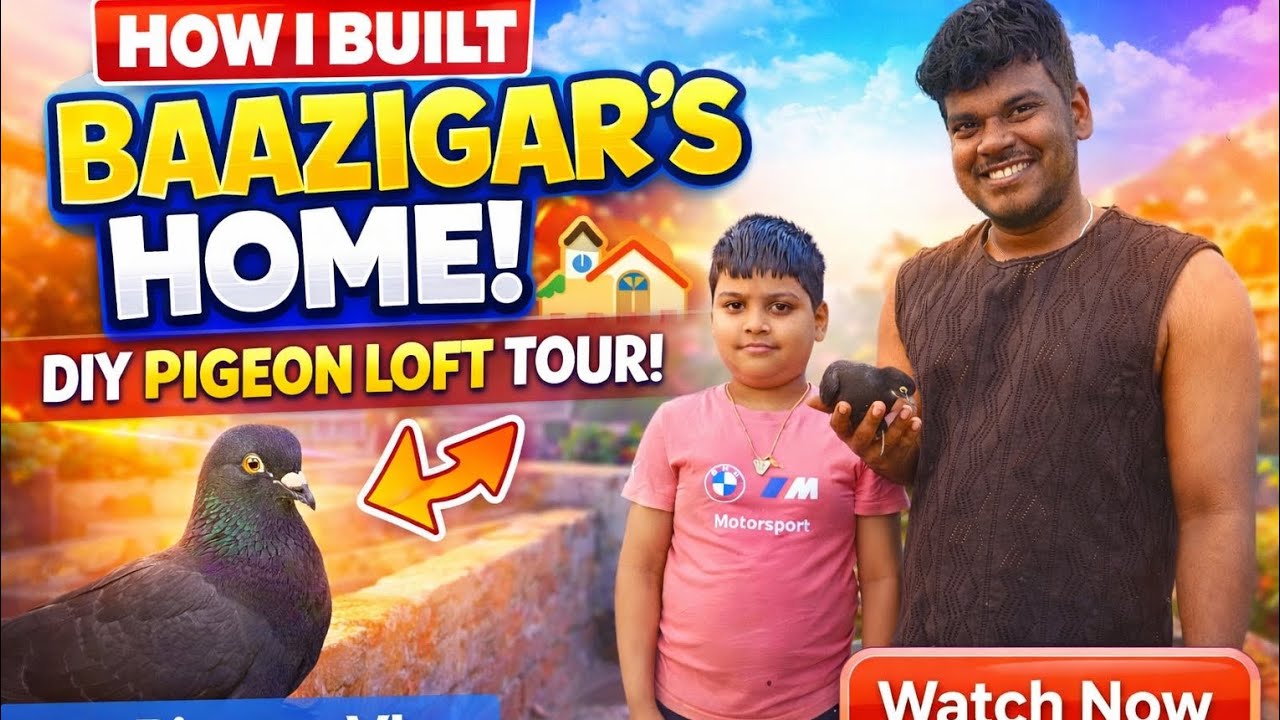 Building My Pet Pigeon Baazigar’s New Home [ DIY Pigeon Loft ]