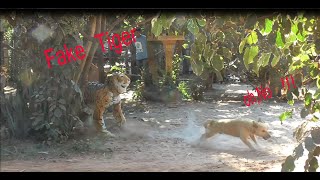 Fake Lion Prank Dogs So Funny 2020, How To Make Fake Lion Prank Dogs