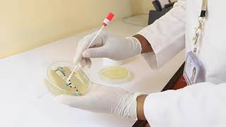 URINE CULTURE AND SENSITIVITY TEST