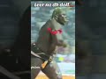 Kouy dieul avance bi ndiago bi #lamb #seneweb #viral #luttesénégalaise #