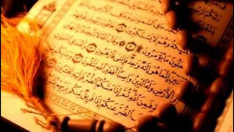 الشيخ سعد الغامدي   سورة التكاثر