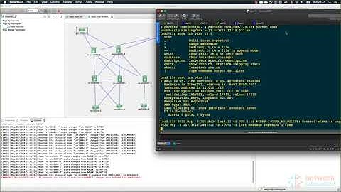 03. NXOS : VXLAN EVPN, Underlay Bring UP (Part 2)